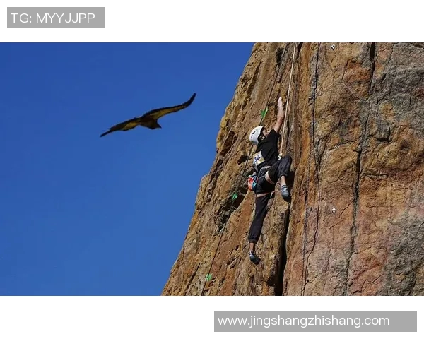 攀岩界权威发布全新实力榜单揭示顶尖选手风采与实力对比