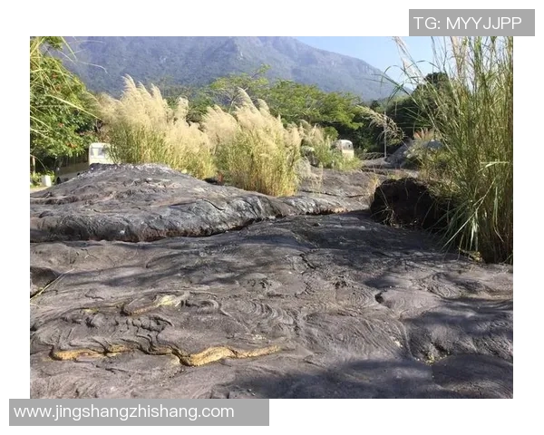 深圳极限运动队赛事经验深度对比与分析探讨 深圳极限运动队赛事经验深度对比与分析探讨