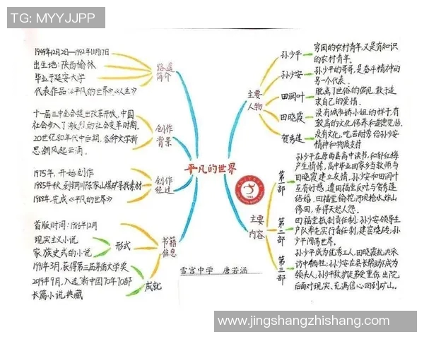 田宇翔的成长之路：从平凡少年到卓越人才的奋斗历程与启示