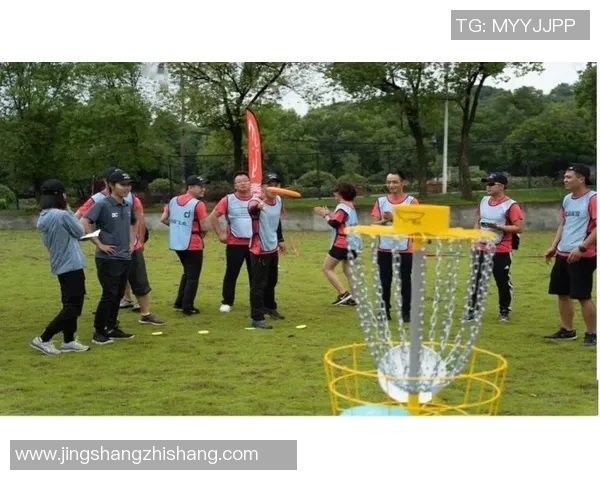 飞盘战术解析：重庆飞盘队如何打造高效进攻体系与团队协作